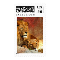 Big Cats - 6 Stamp