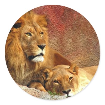 Big Cats - 6 Stickers by MuseMagic