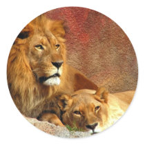 Big Cats - 6 stickers by MuseMagic Big Cats - 6 stickers