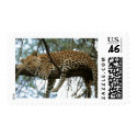 Big Cats - 7 postage