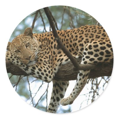 Big Cats - 7 Sticker by MuseMagic