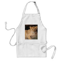 Big Cats - 8 Aprons