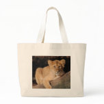 Big Cats - 8 bags