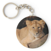 Big Cats - 8 Keychains