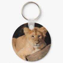 Big Cats - 8 keychains by MuseMagic Big Cats - 8 keychains