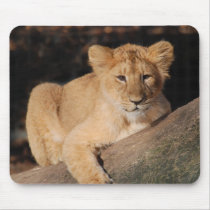 Big Cats - 8 Mouse Mats