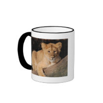 Big Cats - 8 Coffee Mug