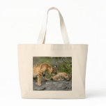 Big Cats - 9 bags