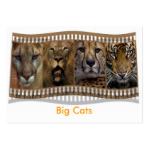 Big Cats business cards