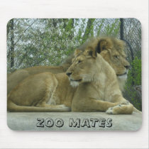 BIG CATS                                  ... mousepads