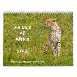 Big Cats of Africa 2012 Wall Calendar