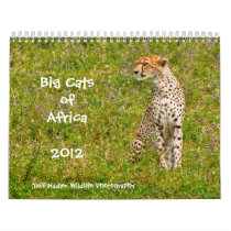 Big Cats of Africa 2012 Wall Calendar