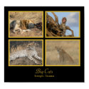 Big Cats - Serengeti, Tanzania Poster posters by colinbowman Big Cats - Serengeti, Tanzania Poster posters