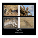 Big Cats - Serengeti, Tanzania Poster posters by colinbowman Big Cats - Serengeti, Tanzania Poster posters