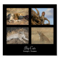 Big Cats - Serengeti, Tanzania Poster posters by colinbowman Big Cats - Serengeti, Tanzania Poster posters