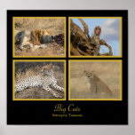 Big Cats - Serengeti, Tanzania Poster posters