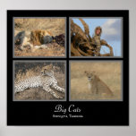 Big Cats - Serengeti, Tanzania Poster