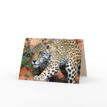 Big Cats Set - 10 cards