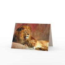 Big Cats Set - 6 Greeting Cards
