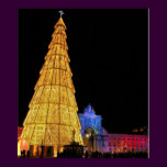 Big Christmas Tree from Europe