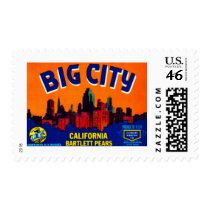 Big City Bartlett Pears Stamp