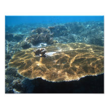 Big Corral Photographic Print