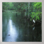 Big Cypress National Preserve Spring Rain Print
