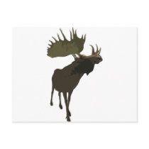 Big Daddy Moose Post Card