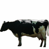 Big Dairy Cow Sculpture Cut Out