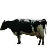 Big Dairy Cow Sculpture Cut Out