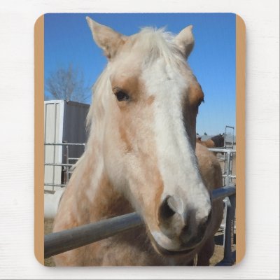 Big Dark Eyes Golden Blond Palomino Pony Mousepads by She_Wolf_Medicine