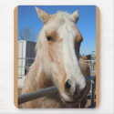 Big Dark Eyes Golden Blond Palomino Pony mousepads