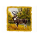 Big Deer standing in grove on customizable product Post Cards