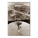 Big Dig Rose posters by tedadams Big Dig Rose posters