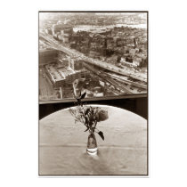 Big Dig Rose posters