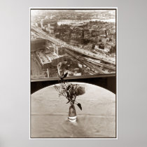 Big Dig Rose Print