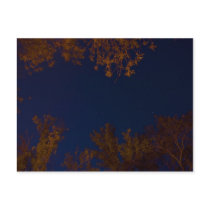 Big Dipper Postcard