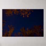 Big Dipper poster