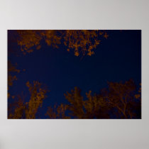 Big Dipper poster