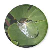 Big Drop ~ magnet by Andy2302 Big Drop ~ magnet