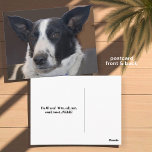 Big Earred Dog Post Card