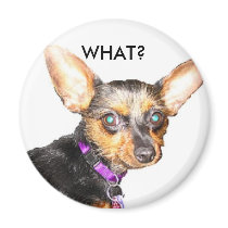 Big ears dog magnet