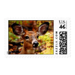 Big Ears, even Bigger Smile Postage Stamps