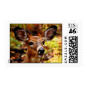 Big Ears, even Bigger Smile postage