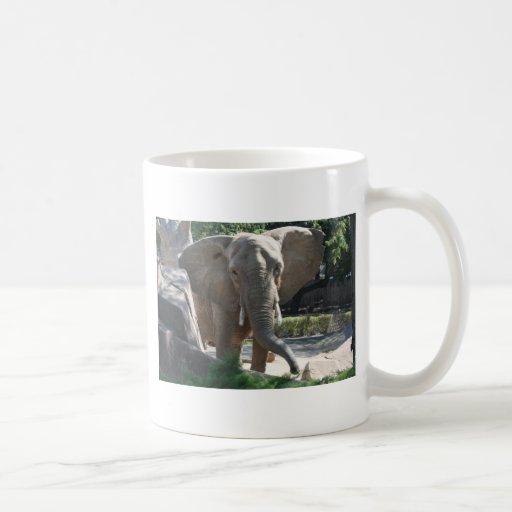 big elephant ears coffee mug Zazzle