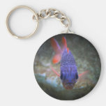 Big Eyed Fish Keychains