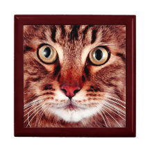 Big Eyes Cat Jewelry Box For Men
