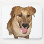Big Eyes Golden Retriever Puppy - Ranch Dog Lover Mouse Pad