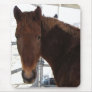 Big Eyes Red Tennessee Walking Horse -  TWH Mousepad