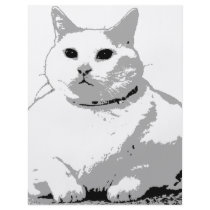 Big Fat Cat Full Color Flyer